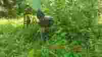 Penampakan Hewan Misterius penampakan hewan misterius