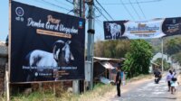 Disnakanla Garut Disnakanla Garut