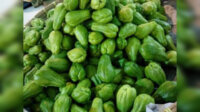 Pasar Manis Ciamis Sepi Pasar Manis Ciamis Sepi