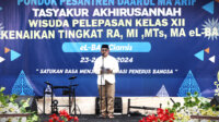 Daarul Maarif Daarul Maarif