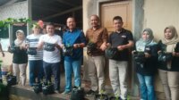 DKUKMP Ciamis DKUKMP Ciamis