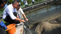 perarian wanayasa perarian wanayasa