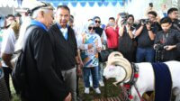 Hadiri Kontes Ternak, Bey Optimistis Jabar Swasembada Pangan Kontes Ternak di Bandung Jawa Barat