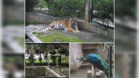 Taman Satwa Cikembulan Taman Satwa Cikembulan