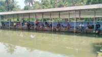 Lomba Mancing Hut RI Lomba Mancing Hut RI